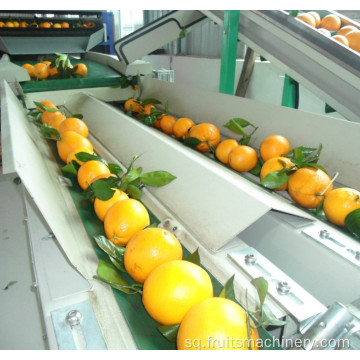 Makinë e domates dhe gradimit dhe paketimit